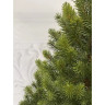 Можжевельник стройный TRIUMPH TREE 100% литая 215 СМ зеленый 72211